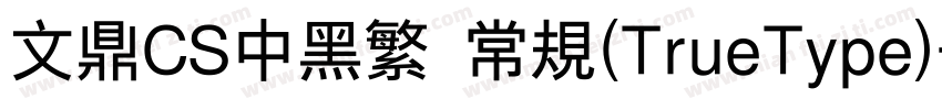 文鼎CS中黑繁 常规(TrueType)字体转换